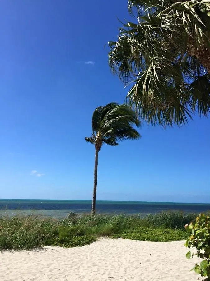 Apartment Paradise Found Cayo Hueso