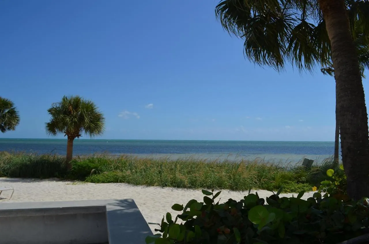 Apartment Paradise Found Cayo Hueso