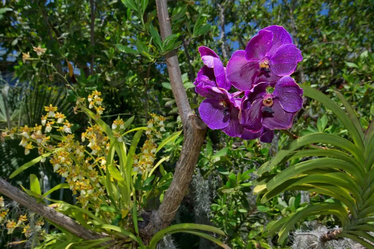 Paradise Found Cayo Hueso Apartment